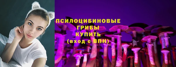 2c-b Медвежьегорск