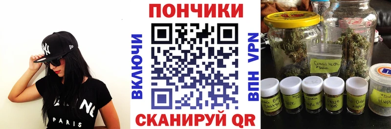 Бошки Шишки сатива  закладка  darknet наркотические препараты  Оренбург 